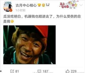 娱乐圈吃瓜大鹅微博,揭秘明星幕后故事，带你领略娱乐圈真实一面